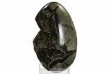 Septarian Dragon Egg Geode - Black Crystals #172816-3